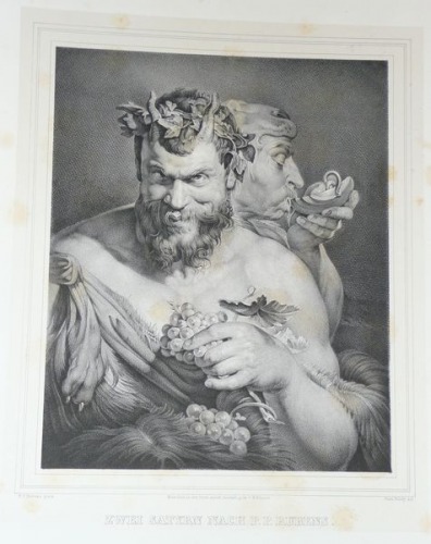 Illustration # 139, after Rubens